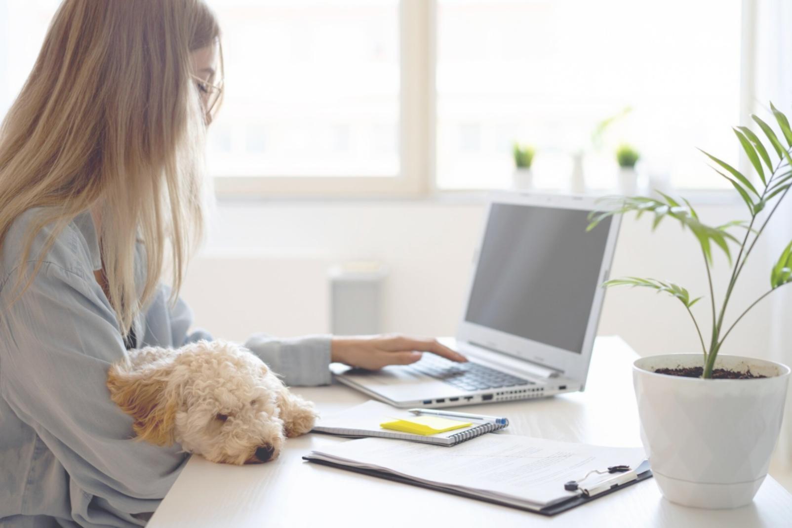 Team collaboration in modern testing environment